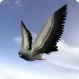 City Bird Fly Simulator 2015