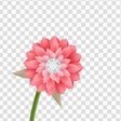 ไอคอนของโปรแกรม: Background Eraser