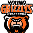 プログラムのアイコン：YoungGrizzly