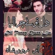 プログラムのアイコン：Dil Tu Nay Chura Lia