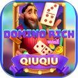 أيقونة البرنامج: Domino Kaya App Guide
