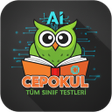 Ikon program: CepOkul: Tüm Dersler Test…