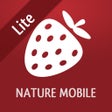Icoon van programma: Wild Berries and Herbs LI…
