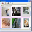 程序图标：Gallery Grabber