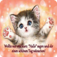 程序图标：Guten Tag Bilder und Sprü…