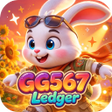 程序图标:GG567Ledger