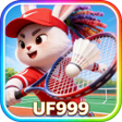 Ikon program: UF999Sky Loop