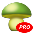 Symbol des Programms: MushtoolPro - Mushroom
