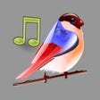 Icoon van programma: Bird Sounds