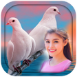 Love Birds Photo Frames icon