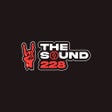 Programın simgesi: The Sound 228