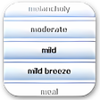Icona del programma: EasyWords