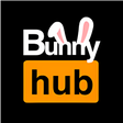 Иконка программы: Bunny Hub - video chat