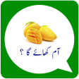 程序图标：Urdu Stickers