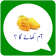 Urdu Stickers