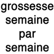 Icon of program: Grossesse nouvelle versio…