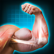 Ikona programu: Bodybuilder Arms - Photo …