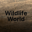 Icon of program: Fortune Tiger