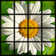 Icoon van programma: Photo Puzzle