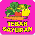 Programikonen: Tebak Sayuran