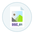 プログラムのアイコン：DSC Auto Rename