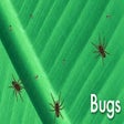 Icon of program: Bug