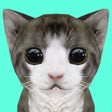 Cat Simulator Online