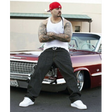 Icon of program: lowrider and donks