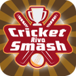 程序图标：Cricket Rivo Smash