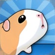 Ikon program: Guinea Pig Bridge