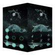 Icon of program: AppLock Theme Sagittarius