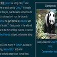 プログラムのアイコン：Wikipedia Solarized Dark …