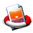 程序图标：Easeus Photo Recovery