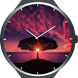 Programikonen: Nature Watch Faces