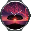 Nature Watch Faces