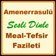 Programikonen: Amenerrasulu
