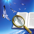 Programikonen: Bible Dictionary