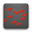 程序图标：Rose Petals Live Wallpape…