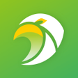Programikonen: Scooper NewsTrending  Vir…