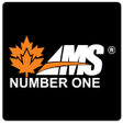 程序图标：AMS1