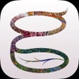 Icon of program: Gratitude Garden