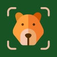 Icon of program: Picture Nature: Animal ID