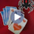 プログラムのアイコン：Spider Solitaire Card Gam…