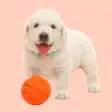 Squeaky Toy Sounds