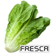 プログラムのアイコン：Lechuga Paralela