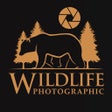 Programikonen: Wildlife Photographic Mag…