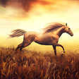 プログラムのアイコン：Horse Pictures Live Wallp…