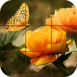ไอคอนของโปรแกรม: Butterfly Jigsaw Puzzles