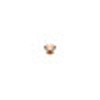 Programikonen: DailyPug chrome extension