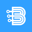 Ikona programu: bVPN